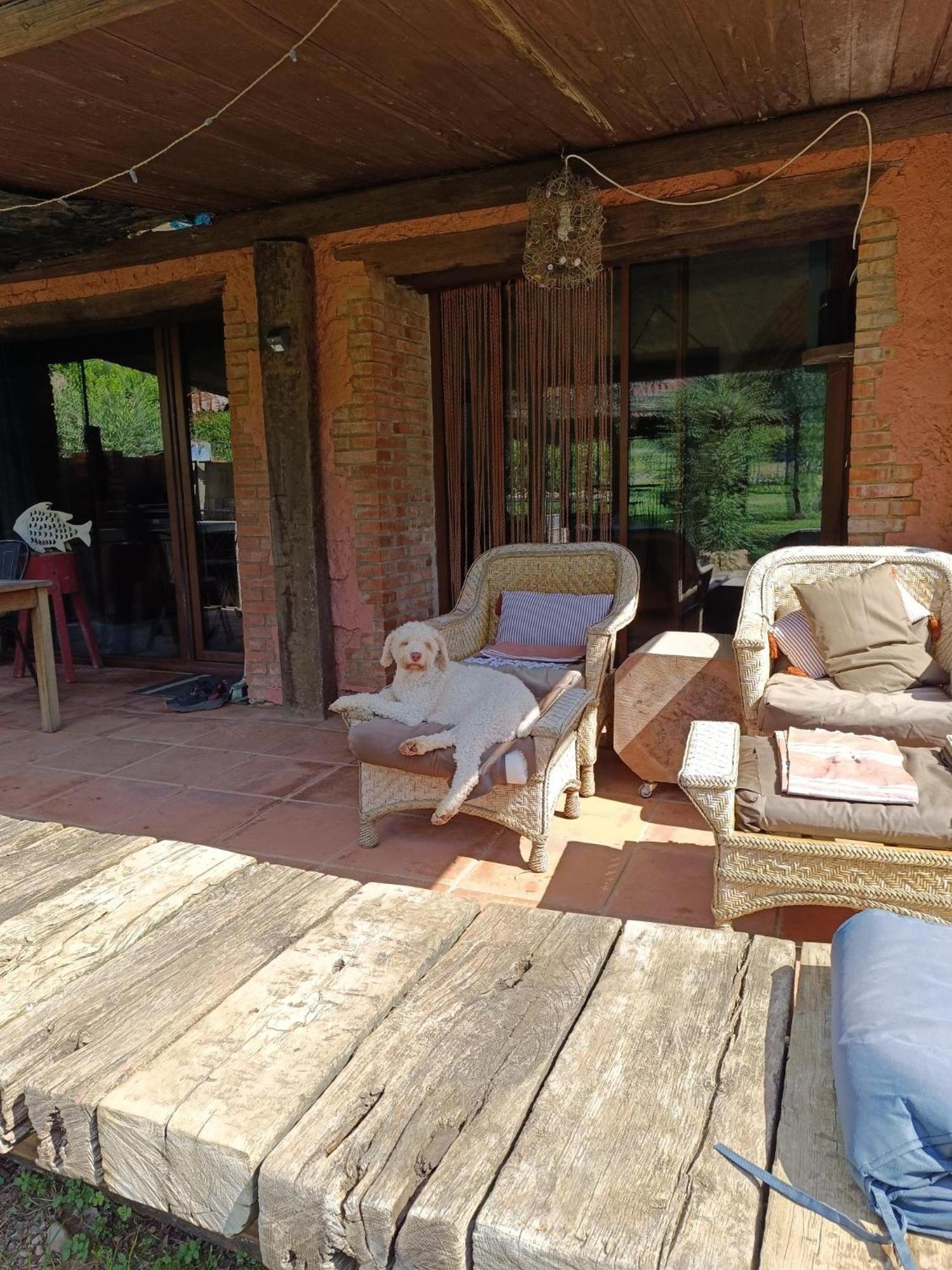 Mas Del Llop Blanc - Dog Friendly Hostal Rural - B&B Sobrestany Exterior foto